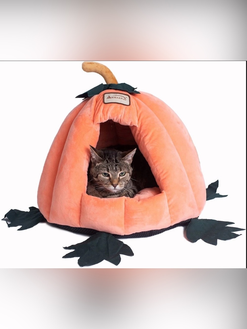 Fall Pumpkin Carriage Small Pet Bed - with Removable Cushion